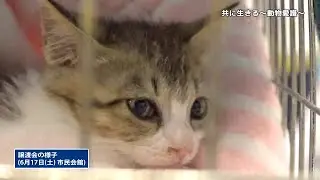 「共に生きる～動物愛護～」一宮市広報「I　LOVE　いちのみや」vol 683