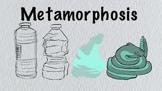How to animate a Morph
