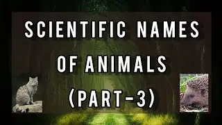 Scientific Names Of Animals (PART-3) 
