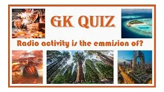 Test Your Brain - General Knowledge Quiz #2 | TRAIN YOUR BRAIN
