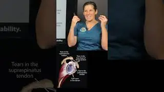 Why we do Comprehensive PRP Prolotherapy- not 1-shot PRP for labral tears- treat the WHOLE shoulder