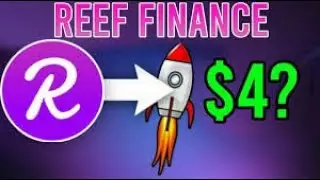 Reef finance (REEF) 100x Gem price update!