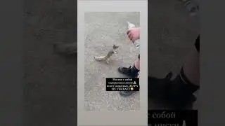 Налей воды