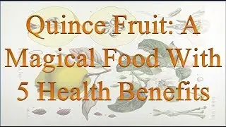Quince Fruit: A Magical Food With 5 Health Benefits/ Quince benefits in Urdu