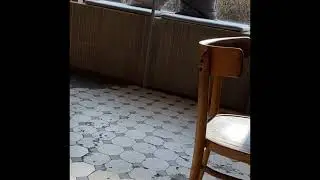 Saint Petersburg April 2021