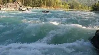 Дикая Катунь.  (Акустика.)