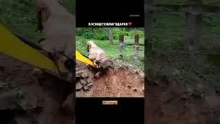 Я как этот Слон.