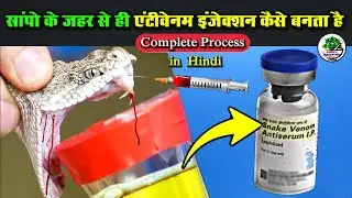 सांप के जहर से Anti Venom कैसे बनता है | Antivenom Kaise Banta Hai | Antivenom injection