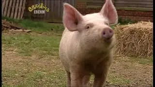 CBeebies: Big Barn Farm - You Can't Teach a New Dog Old Tricks (2008)