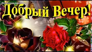 Добрый Вечер! Приятного Отдыха! 🌃🌃🌃