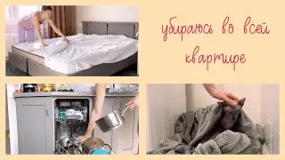 Моя уборка выходного дня 🧹Мотивация! Наш Сфинкс 🐈‍⬛ (перезалила видео)