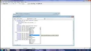 Visual Foxpro Debug Program Message Error Syntax Error