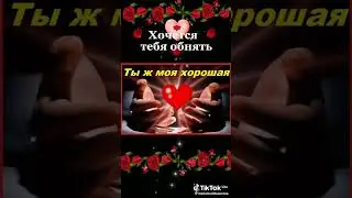 8 сентября 2024 г.