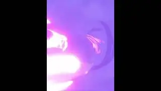There’s a NEW Electro Wolf in town Genshin Impact Edit