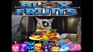 Открыл 51 фрукт | Blox Fruits