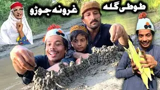 Tuti Gula Ghurona Joro Pashto New Funny Video 2023 by Tuti Gull Official