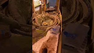 Downhill to Denver Freight Train N Scale Overhead Cam #train #diesellocoshed #railway #modeltrains