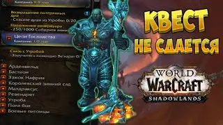 Не засчитывается квест "Доступ в утробу".  Решение  [WoW Shadowlands]