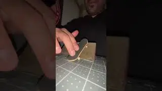 Evolution