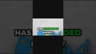 Mr Beast Burger's Secret Success Hack 🍔 #shorts #shortsvideo