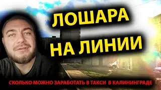HOW MUCH CAN YOU EARN IN A TAXI IN KALININGRAD ON A WEEKDAY 2021