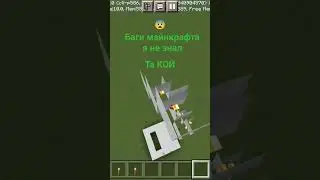 баги майнкрафта 