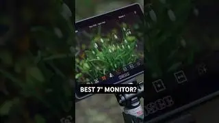 The BEST 7