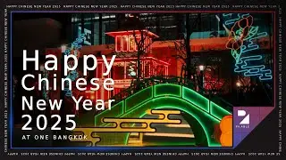 Happy Chinese New Year 2025!