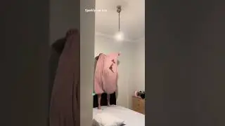 A bat entered my Room