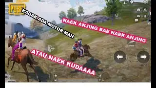 NAIK ANJING BAE NAIK ANJING, ATAU NAIK KUDA | PUBG MOBILE