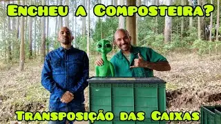 Is your home composter full? Revolutionary method for worm translocation.