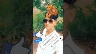 goga ji tere me aaya hu medi dham pe