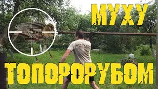 1001 способ как убить муху. Лучшая мухобойка своими руками.