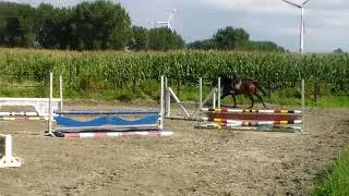 simsallabim Van 't Hammelhof ( 1 week broken )