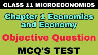 CLASS 11 MICROECONOMICS LESSON 1 ECONOMICS AND ECONOMY OBJECTIVE QUESTIONS MCQ'S TEST