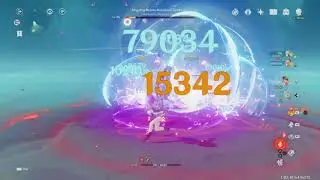 I met AR60 and invite him to Raiden Shogun Coop Domain (Ayaka Yanfei Bennet YaeMiko)