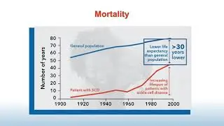 Pharmaceutical life sciences training video for CLE credit
