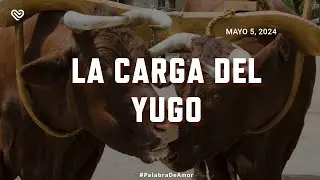 Palabra De Amor Church | Servicio En Vivo