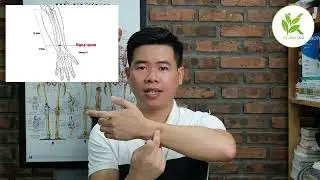 ĐAU CỔ GÁY Ù TAI NẶNG TAI Vận Động Khó Khăn Làm Cách Này Đỡ Hẵn | TCL