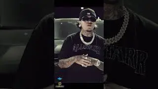 Parkside Plugs & FBP West - DESTINY (eFamily Reaction!)