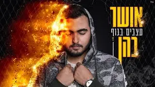 אושר כהן - עצבים בגוף
