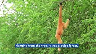 Dangling Participles Grammar Lesson