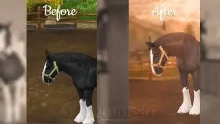 Before & After Editing || Star Stable (2)