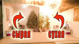 Пожар из-за новогодней елки. Выбор ёлки для Нового года: что нужно знать.