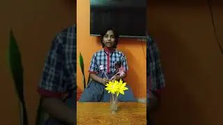 Flower and Bud Science Project