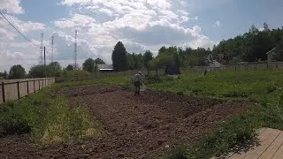 Деревня Соснино (посевная)