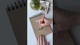How to draw lips 👄 How do you draw?)