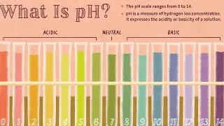 What You Need To Know About pH Measuring And Adjustment | Cosmetic Formulating