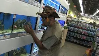 Fishing in Pet Store Fish Tank