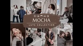 Mocha Video LUTs- Influencer LUTs- Video Preset- VN LUTs- Premiere Pro Video LUTs- Video LUT